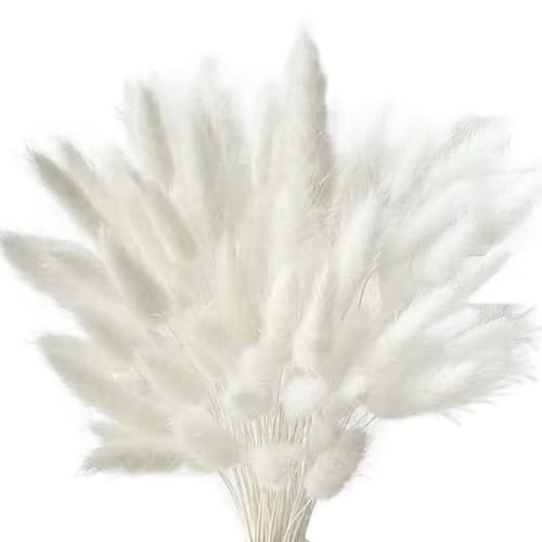 Pampas, 60pcs Faux Pampas Grass Decor, 17in Boho DIY Blumen, Simulationsgras für Hochzeitsdekoration, Handwerk und Fotografie, Weiß, Weiß Pampas, 60pcs Faux Pampas Grass Decor, 17in Boho DIY Blumen, Simulationsgras für Hochzeitsdekoration, Handwerk und Fotografie, Weiß, Weiß von Mskmnkot