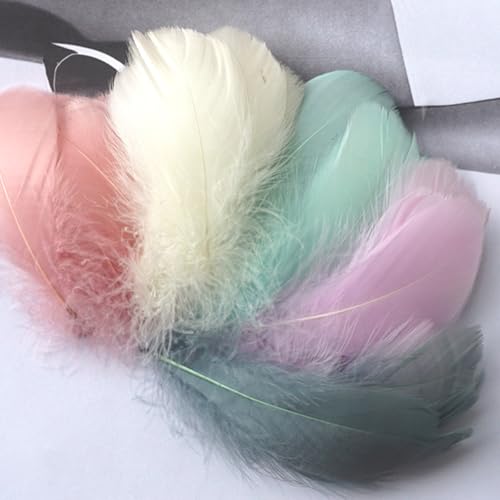 200 Stück Federn zum Basteln 7–13 cm Natürliche Gänsefedern Bunte Federn Fantasie Ornament Große Bastelfedern für DIY Bastelarbeiten Geschenkbox-Füller Traumfänger Karnevals Dekorationen (Style D) 200 Stück Federn zum Basteln 7–13 cm Natürliche Gänsefedern Bunte Federn Fantasie Ornament Große Bastelfedern für DIY Bastelarbeiten Geschenkbox-Füller Traumfänger Karnevals Dekorationen (Style D) von Mtbricey