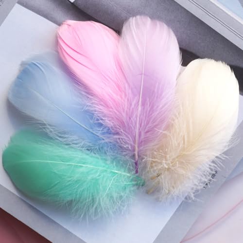 200 Stück Federn zum Basteln 7–13 cm Natürliche Gänsefedern Bunte Federn Fantasie Ornament Große Bastelfedern für DIY Bastelarbeiten Geschenkbox-Füller Traumfänger Karnevals Dekorationen (Style C) 200 Stück Federn zum Basteln 7–13 cm Natürliche Gänsefedern Bunte Federn Fantasie Ornament Große Bastelfedern für DIY Bastelarbeiten Geschenkbox-Füller Traumfänger Karnevals Dekorationen (Style C) von Mtbricey