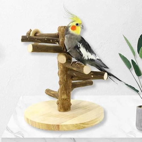 Mtiemxig Holz Papageien-Spielständer – natürlicher Vogel-Kletterbaum mit Leiter & Schaukel – Robustes Spiel- & Trainingsparadies für Wellensittiche, Nymphensittiche, Papageien von Mtiemxig