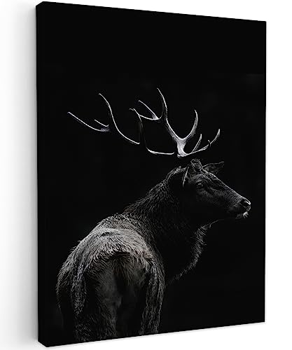 MuchoWow© Bild auf Leinwand 30x40 cm Schlafzimmer Bilder Wand Deko Wohnzimmer Modern Wanddeko Bilderwand Geschenk Hirsch - Rotwild - REH - Schwarz - Porträt - Geweih - Tiere von MuchoWow