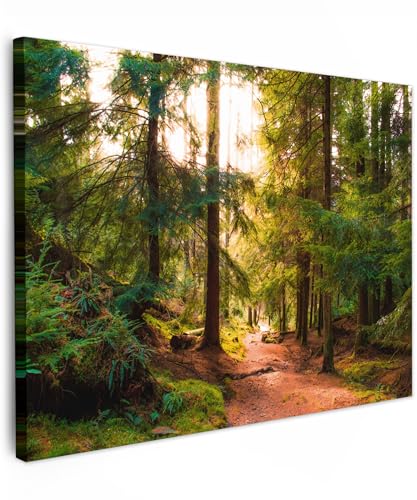 MuchoWow© Bild auf Leinwand 40x30 cm Schlafzimmer Bilder Wand Deko Wohnzimmer Modern Wanddeko Bilderwand Geschenk Wandbild Wald - Weg - Bäume - Grün - Sonne - Natur von MuchoWow