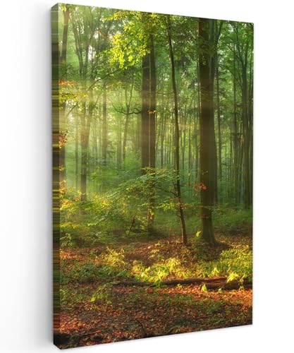 MuchoWow© Bild auf Leinwand 40x60 cm Schlafzimmer Bilder Wand Deko Wohnzimmer Modern Wanddeko Bilderwand Geschenk Sonne - Wald - Bäume - Natur - Herbst von MuchoWow