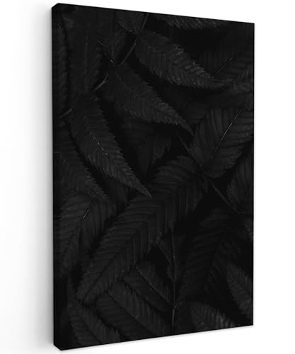 MuchoWow© Bild auf Leinwand 40x60 cm Schlafzimmer Bilder Wand Schwarze Deko Wohnzimmer Modern Wanddeko Bilderwand Geschenk Blätter - Schwarz - Pflanzen - Botanik von MuchoWow