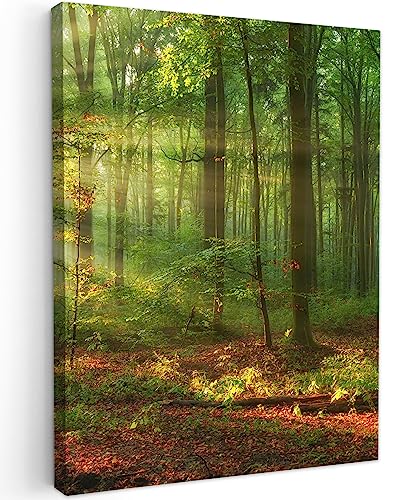 MuchoWow© Bild auf Leinwand 50x70 cm Schlafzimmer Bilder Wand Deko Wohnzimmer Modern Wanddeko Bilderwand Geschenk Sonne - Wald - Bäume - Natur - Herbst von MuchoWow