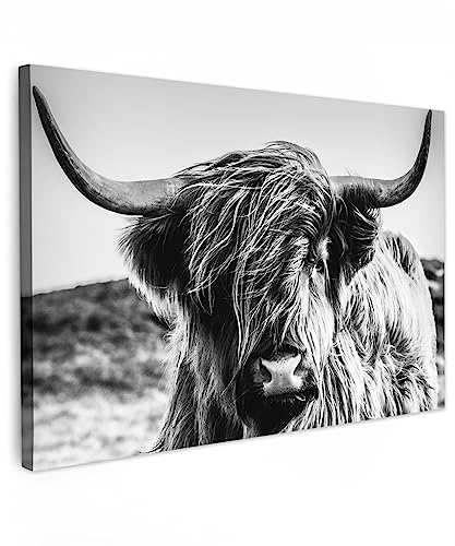 MuchoWow© Bild auf Leinwand 60x40 cm Schlafzimmer Bilder Schwarzweiss Wand Deko Wohnzimmer Modern Wanddeko Geschenk Kuh Leinwand - Schottisches Hochlandrind - Highland Cow - Hörner von MuchoWow