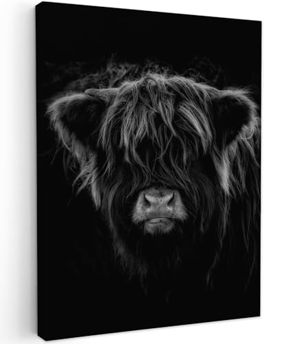 MuchoWow© Bild auf Leinwand 60x80 cm Schlafzimmer Bilder Wand Deko Wohnzimmer Modern Wanddeko Bilderwand Geschenk Schottisches Hochlandrind - Highland Cow - Kuh - Schwarz und Weiß - Tiere von MuchoWow