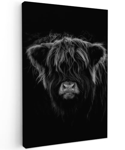 MuchoWow© Bild auf Leinwand 60x90 cm Schlafzimmer Bilder Wand Deko Wohnzimmer Modern Wanddeko Bilderwand Geschenk Schottisches Hochlandrind - Highland Cow - Kuh - Schwarz und Weiß - Tiere von MuchoWow