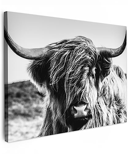 MuchoWow© Bild auf Leinwand 70x50 cm Schlafzimmer Bilder Schwarzweiss Wand Deko Wohnzimmer Modern Wanddeko Geschenk Kuh Leinwand - Schottisches Hochlandrind - Highland Cow - Hörner von MuchoWow