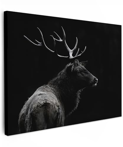 MuchoWow© Bild auf Leinwand 70x50 cm Schlafzimmer Bilder Wand Deko Wohnzimmer Modern Wanddeko Bilderwand Geschenk Hirsch - Rotwild - Reh - Schwarz - Porträt - Geweih - Tiere von MuchoWow