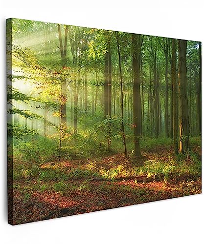 MuchoWow© Bild auf Leinwand 70x50 cm Schlafzimmer Bilder Wand Deko Wohnzimmer Modern Wanddeko Bilderwand Geschenk Sonne - Wald - Bäume - Natur - Herbst von MuchoWow