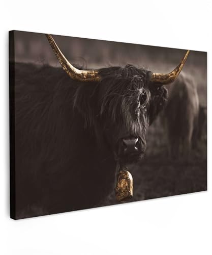 MuchoWow© Bild auf Leinwand 90x60 cm Schlafzimmer Bilder Wand Deko Wohnzimmer Modern Wanddeko Bilderwand Geschenk Schottisches Hochlandrind - Highland Cow - Gold - Kuh - Hörner - Tiere von MuchoWow