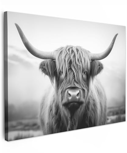 MuchoWow© Bild auf Leinwand Bilder 40x30 cm Wanddeko Wohnzimmer Aesthetic Room Decor Deko Zimmer Wandbilder Modern Gemälde Wandbild Schottisches Hochlandrind - Kuh - Highland Cow Bild von MuchoWow