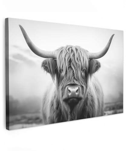 MuchoWow© Bild auf Leinwand Bilder 60x40 cm Wanddeko Wohnzimmer Aesthetic Room Decor Deko Zimmer Wandbilder Modern Gemälde Wandbild Schottisches Hochlandrind - Kuh - Highland Cow Bild von MuchoWow