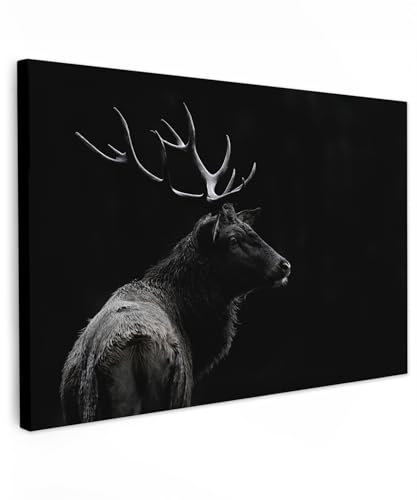 MuchoWow© Bild auf Leinwand Groß 120x80 cm XXL Schlafzimmer Bilder Wand Deko Wohnzimmer Modern Wanddeko Bilderwand Geschenk Hirsch - Rotwild - Reh - Schwarz - Porträt - Geweih - Tiere von MuchoWow