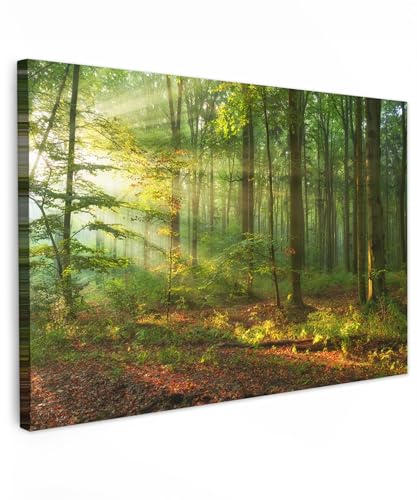 MuchoWow© Bild auf Leinwand Groß 120x80 cm XXL Schlafzimmer Bilder Wand Deko Wohnzimmer Modern Wanddeko Bilderwand Geschenk Sonne - Wald - Bäume - Natur - Herbst von MuchoWow