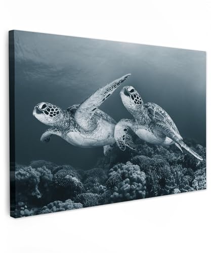 MuchoWow© Bild auf Leinwand Groß 120x80 cm XXL Schlafzimmer Bilder Wand Deko Wohnzimmer Modern Wanddeko Bilderwand Geschenk Weiss - Schildkröte - Meerestiere - Schwarz und Weiß - Wildtiere von MuchoWow