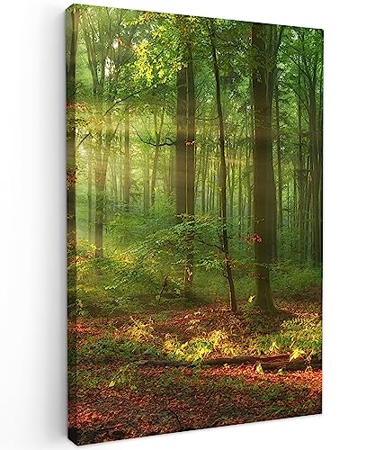 MuchoWow© Bild auf Leinwand Groß 80x120 cm XXL Schlafzimmer Bilder Wand Deko Wohnzimmer Modern Wanddeko Bilderwand Geschenk Sonne - Wald - Bäume - Natur - Herbst von MuchoWow