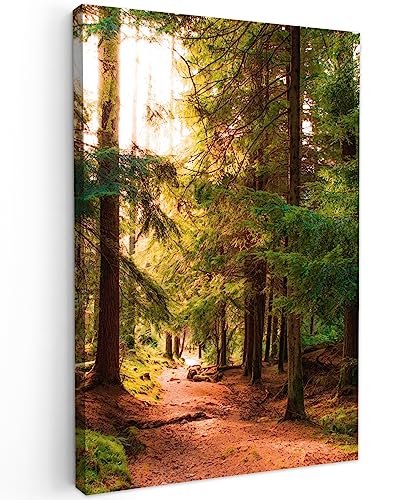 MuchoWow© Bild auf Leinwand Groß 80x120 cm XXL Schlafzimmer Bilder Wand Deko Wohnzimmer Modern Wanddeko Bilderwand Geschenk Wandbild Wald - Weg - Bäume - Grün - Sonne - Natur von MuchoWow