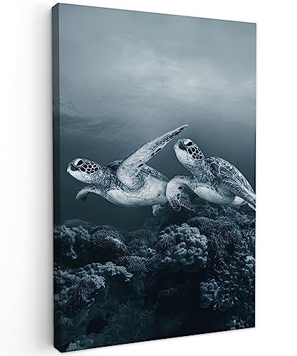 MuchoWow© Bild auf Leinwand Groß 80x120 cm XXL Schlafzimmer Bilder Wand Deko Wohnzimmer Modern Wanddeko Bilderwand Geschenk Weiss - Schildkröte - Meerestiere - Schwarz und Weiß - Wildtiere von MuchoWow