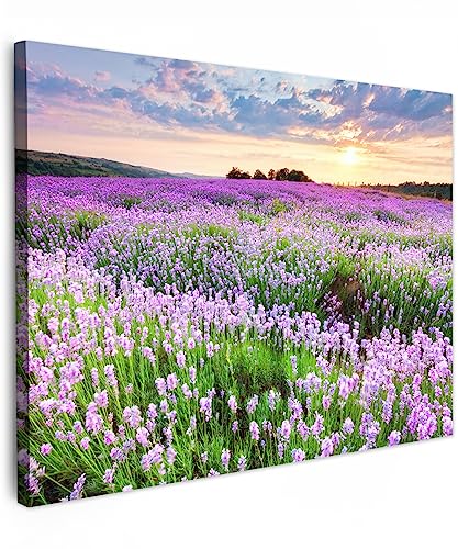 MuchoWow© Bilder 40x30 cm Wohnzimmer Deko Modern Wandbild Foto auf Leinwand Bild Schlafzimmer Room Decor Geschenke Blumen - Lavendel - Lila - Himmel - Sonnenuntergang - Wiese - Natur von MuchoWow