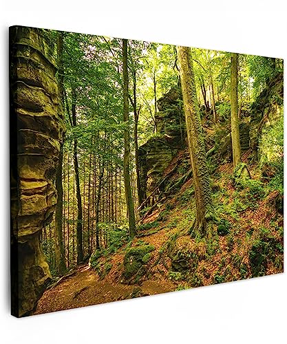 MuchoWow© Bilder 40x30 cm Wohnzimmer Deko Modern Wandbild Foto auf Leinwand Bild Schlafzimmer Room Decor Geschenke Wandbilder Wald - Bäume - Stein - Natur - Pflanzen von MuchoWow