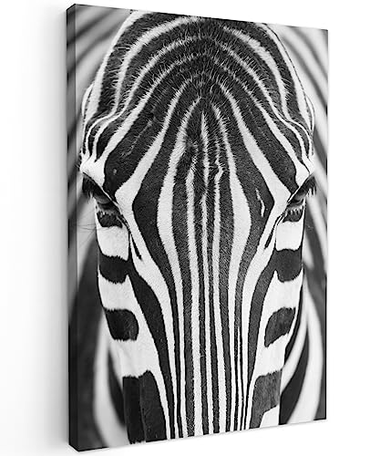 MuchoWow© Bilder 40x60 cm Wohnzimmer Deko Modern Wandbild Foto auf Leinwand Bild Schlafzimmer Room Decor Geschenke Schwarzweiss - Weiss - Zebra - Tiere - Schwarz und Weiß - Porträt von MuchoWow