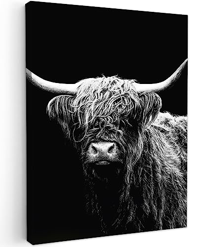 MuchoWow© Bilder 50x70 cm Wohnzimmer Deko Modern Wandbild Foto auf Leinwand Bild Schlafzimmer Room Decor Geschenke Schottisches Hochlandrind - Highland Cow - Kuh - Schwarz und Weiß - Tiere von MuchoWow