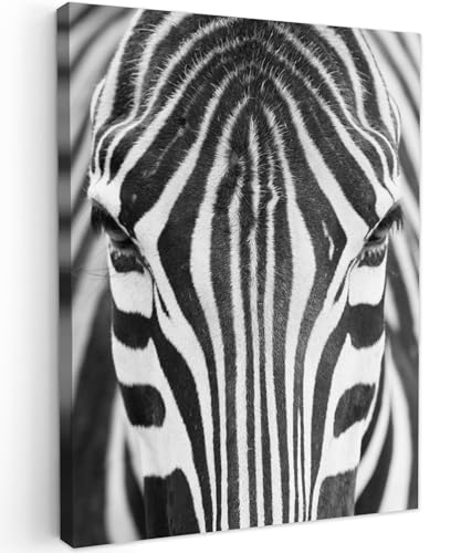 MuchoWow© Bilder 50x70 cm Wohnzimmer Deko Modern Wandbild Foto auf Leinwand Bild Schlafzimmer Room Decor Geschenke Schwarzweiss - Weiss - Zebra - Tiere - Schwarz und Weiß - Porträt von MuchoWow