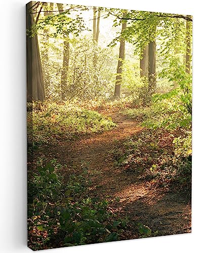 MuchoWow© Bilder 60x80 cm Wohnzimmer Deko Modern Wandbild Foto auf Leinwand Bild Schlafzimmer Room Decor Geschenke Wandbilder Wald - Bäume - Weg - Sonne - Pflanzen - Blätter - Natur - Baum von MuchoWow