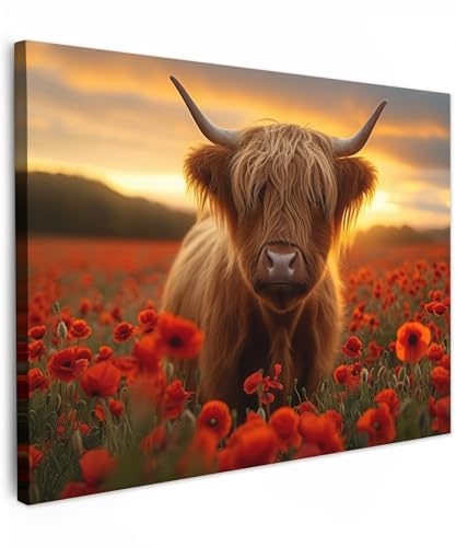 MuchoWow© Bilder 80x60 cm Wohnzimmer Deko Modern Wandbild Foto auf Leinwand Bild Schlafzimmer über Bett Room Decor Geschenke Schottische Hochlandrind - Rosen - Blumenfeld - Sonnenuntergang von MuchoWow