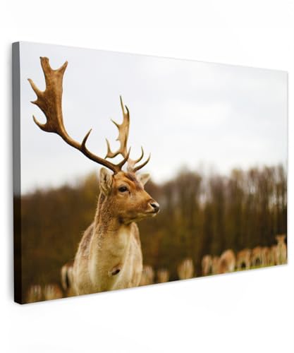 MuchoWow© Bilder 90x60 cm Wohnzimmer Deko Modern Wandbild Foto auf Leinwand Bild Schlafzimmer Room Decor Geschenke Hirsch - Rotwild - REH - Wald - Herde - Tiere - Natur von MuchoWow