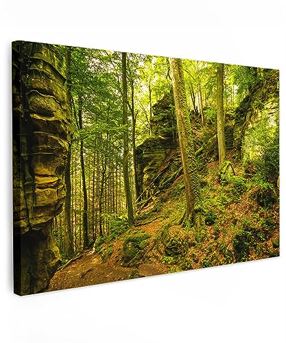 MuchoWow© Bilder 90x60 cm Wohnzimmer Deko Modern Wandbild Foto auf Leinwand Bild Schlafzimmer Room Decor Geschenke Wandbilder Wald - Bäume - Stein - Natur - Pflanzen von MuchoWow