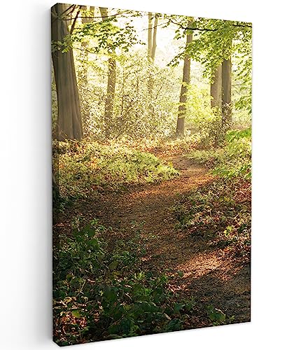 MuchoWow© Bilder Klein 20x30 cm Mini Wohnzimmer Deko Modern Wandbild Foto auf Leinwand Bild Schlafzimmer Room Decor Geschenke Wandbilder Wald - Bäume - Weg - Sonne - Pflanzen - Blätter - Natur - Baum von MuchoWow