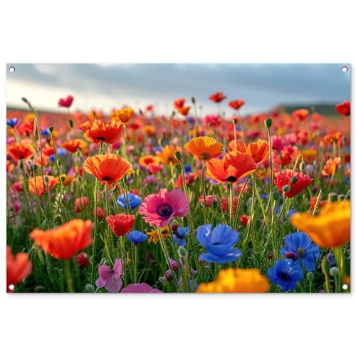 MuchoWow© Gartenposter Groß 120x80 cm XXL Outdoor Bilder Gartendeko für draußen Wetterfest Garten Deko Banner Sichtschutzmatte Draußen Bild Blumen - Mohnblumen - Farbenfroh - Natur von MuchoWow