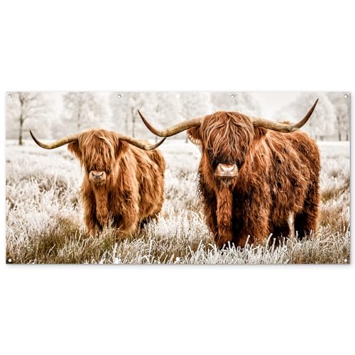 MuchoWow© Gartenposter Groß 200x100 cm XXL Outdoor Bilder Gartendeko für draußen Wetterfest Sichtschutz Garten Deko PVC Banner Draußen Bild Schottischer Hochländer - Kuh - Natur - Winter von MuchoWow