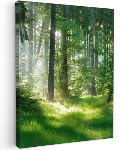 MuchoWow© Leinwände 30x40 cm Wall Decoration Bilder Schlafzimmer Deko Pictures Canvas Painting Wanddekoration Wohnzimmer Wandbilder Bild Wald - Natur - Bäume - Grün - Sonne - Gras - Pflanzen von MuchoWow
