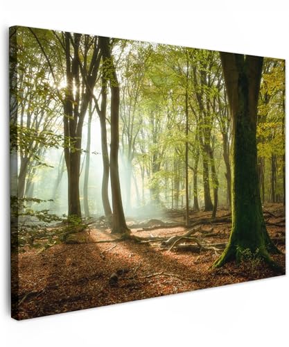 MuchoWow© Leinwände 40x30 cm Wall Decoration Bilder Schlafzimmer Deko Pictures Canvas Painting Wanddekoration Wohnzimmer Wald - Licht - Natur - Landschaft - Bäume von MuchoWow