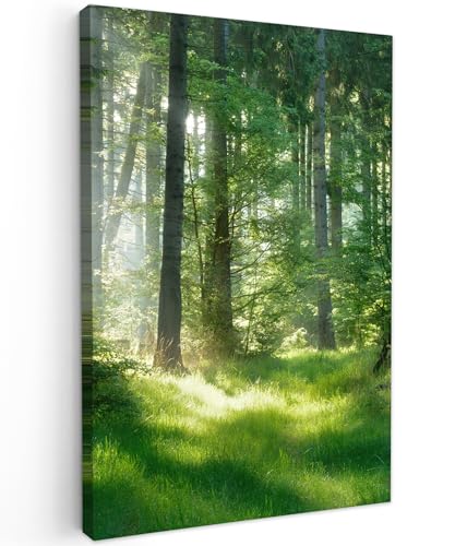 MuchoWow© Leinwände 40x60 cm Wall Decoration Bilder Schlafzimmer Deko Pictures Canvas Painting Wanddekoration Wohnzimmer Wandbilder Bild Wald - Natur - Bäume - Grün - Sonne - Gras - Pflanzen von MuchoWow