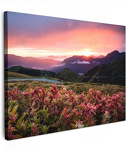 MuchoWow© Leinwände 70x50 cm Wall Decoration Bilder Schlafzimmer Deko Pictures Canvas Painting Wanddekoration Wohnzimmer Bild Natur - Blumen - Berge - Landschaft - Nacht - Himmel - Rosa von MuchoWow