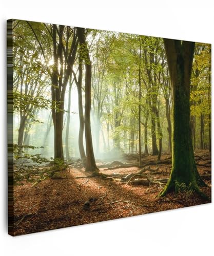 MuchoWow© Leinwände 80x60 cm Wall Decoration Bilder Schlafzimmer Deko Pictures Canvas Painting Wanddekoration Wohnzimmer Wald - Licht - Natur - Landschaft - Bäume von MuchoWow