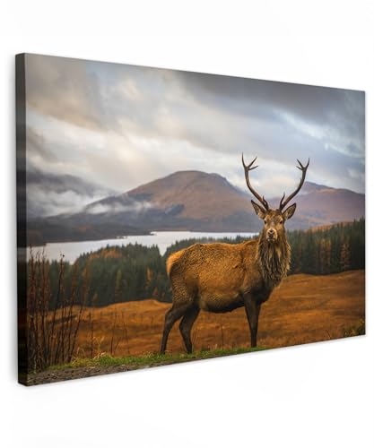 MuchoWow© Leinwände 90x60 cm Wall Decoration Bilder Schlafzimmer Deko Pictures Canvas Painting Wanddekoration Wohnzimmer Hirsch Bild - Rotwild - REH - Berg - Wasser - Landschaft - Tiere von MuchoWow