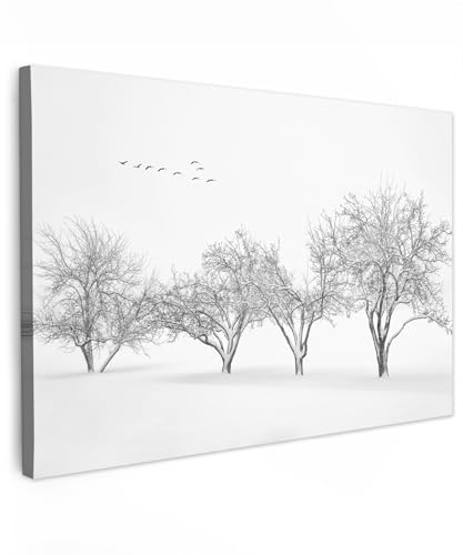 MuchoWow© Leinwände Groß 120x80 cm XXL Wall Decoration Bilder Schlafzimmer Deko Pictures Canvas Painting Wanddekoration Wohnzimmer Bäume - Bild Schwarz und Weiß - Natur - Vögel - Weiss von MuchoWow