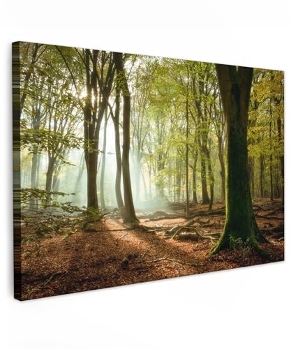 MuchoWow© Leinwände Groß 120x80 cm XXL Wall Decoration Bilder Schlafzimmer Deko Pictures Canvas Painting Wanddekoration Wohnzimmer Wald - Licht - Natur - Landschaft - Bäume von MuchoWow