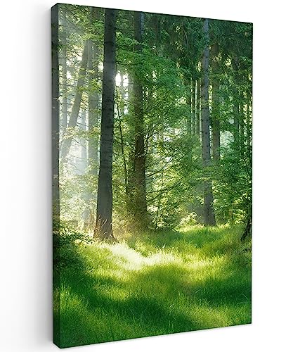 MuchoWow© Leinwände Klein 20x30 cm Mini Wall Decoration Bilder Schlafzimmer Deko Pictures Canvas Painting Wanddekoration Wohnzimmer Wandbilder Bild Wald - Natur - Bäume - Grün - Sonne - Gras - Pflanze von MuchoWow