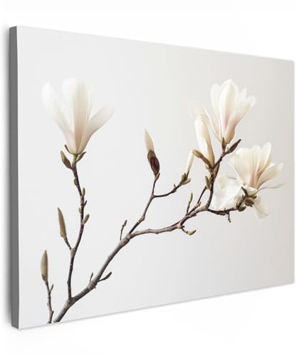 MuchoWow© Leinwand 80x60 cm Deko Schlafzimmer Aesthetic Leinwandbilder Wohnzimmer Gemälde Foto Geschenk Living Room Decoration Blumen - Weiß - Natur - Magnolie von MuchoWow