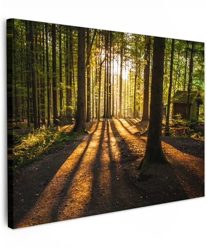 MuchoWow© Leinwand 80x60 cm Deko Schlafzimmer Aesthetic Leinwandbilder Wohnzimmer Gemälde Foto Geschenk Living Room Decoration Wandbilder Bild Wald - Sonne - Bäume - Landschaft - Natur von MuchoWow