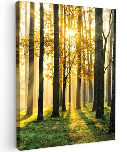 MuchoWow© Leinwand Bilder 30x40 cm Wanddeko Wohnzimmer Aesthetic Room Decor Deko Zimmer Wandbilder Modern Fotogeschenke Bild Wald - Sonne - Bäume - Gras - Landschaft - Natur von MuchoWow