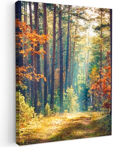 MuchoWow© Leinwand Bilder 30x40 cm Wanddeko Wohnzimmer Aesthetic Room Decor Deko Zimmer Wandbilder Modern Fotogeschenke Wald - Sonne - Natur - Herbst von MuchoWow