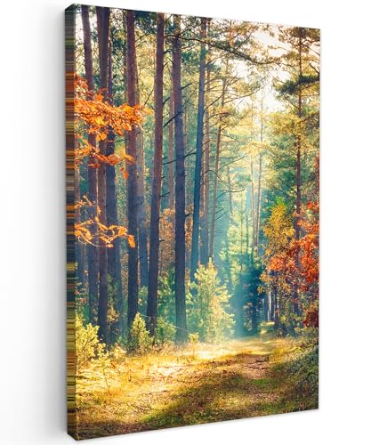 MuchoWow© Leinwand Bilder 40x60 cm Wanddeko Wohnzimmer Aesthetic Room Decor Deko Zimmer Wandbilder Modern Fotogeschenke Wald - Sonne - Natur - Herbst von MuchoWow